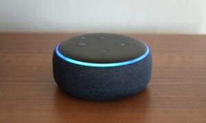 echo